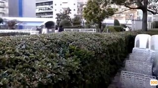 伦理西瓜影音🍆伦理的伦和理分别指🍆国产精品视频综合网
